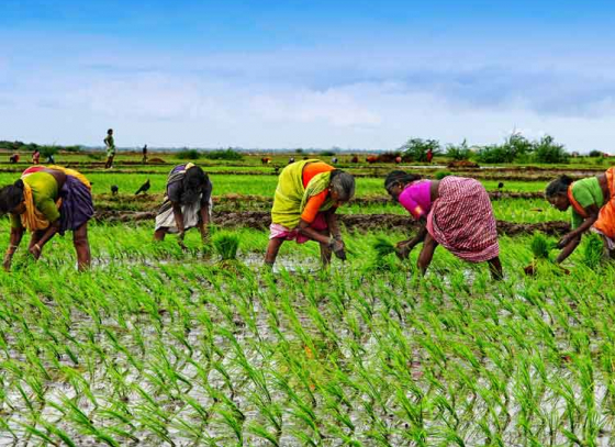 New initiative for Women farmers