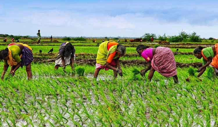 New initiative for Women farmers