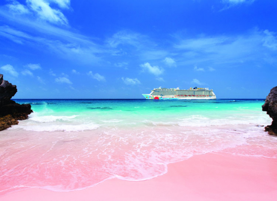 Are you in love with Pink? Then fly down to Bermuda