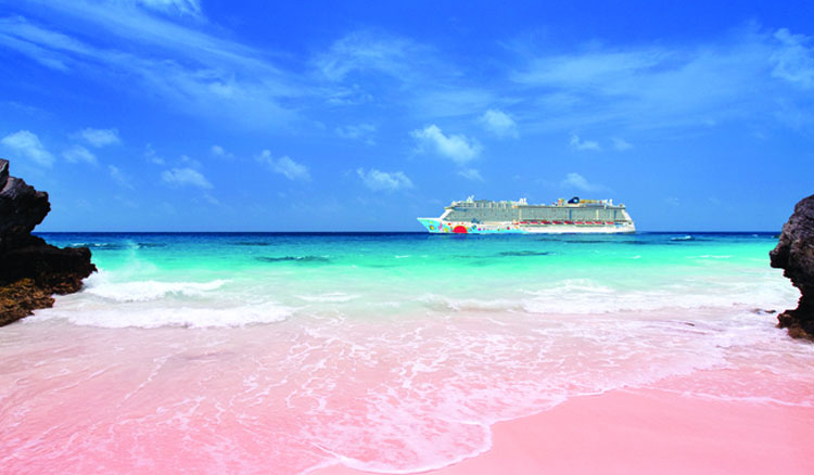 Are you in love with Pink? Then fly down to Bermuda